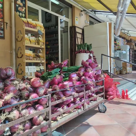 Olympus Bed & Breakfast Tropea