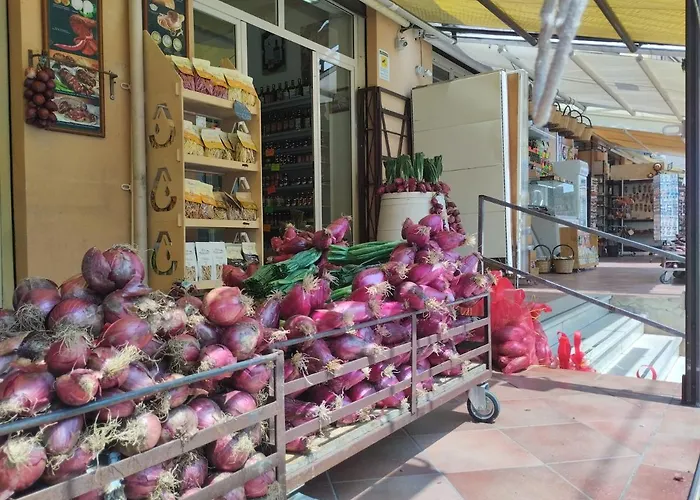 Olympus Nocleg ze śniadaniem Tropea